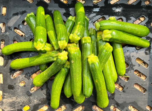 Baby Marrow (per kg)