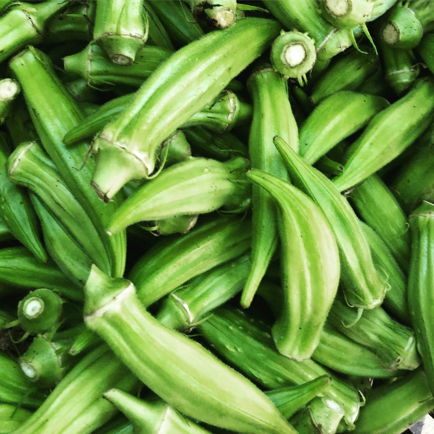 Okra (per kg)