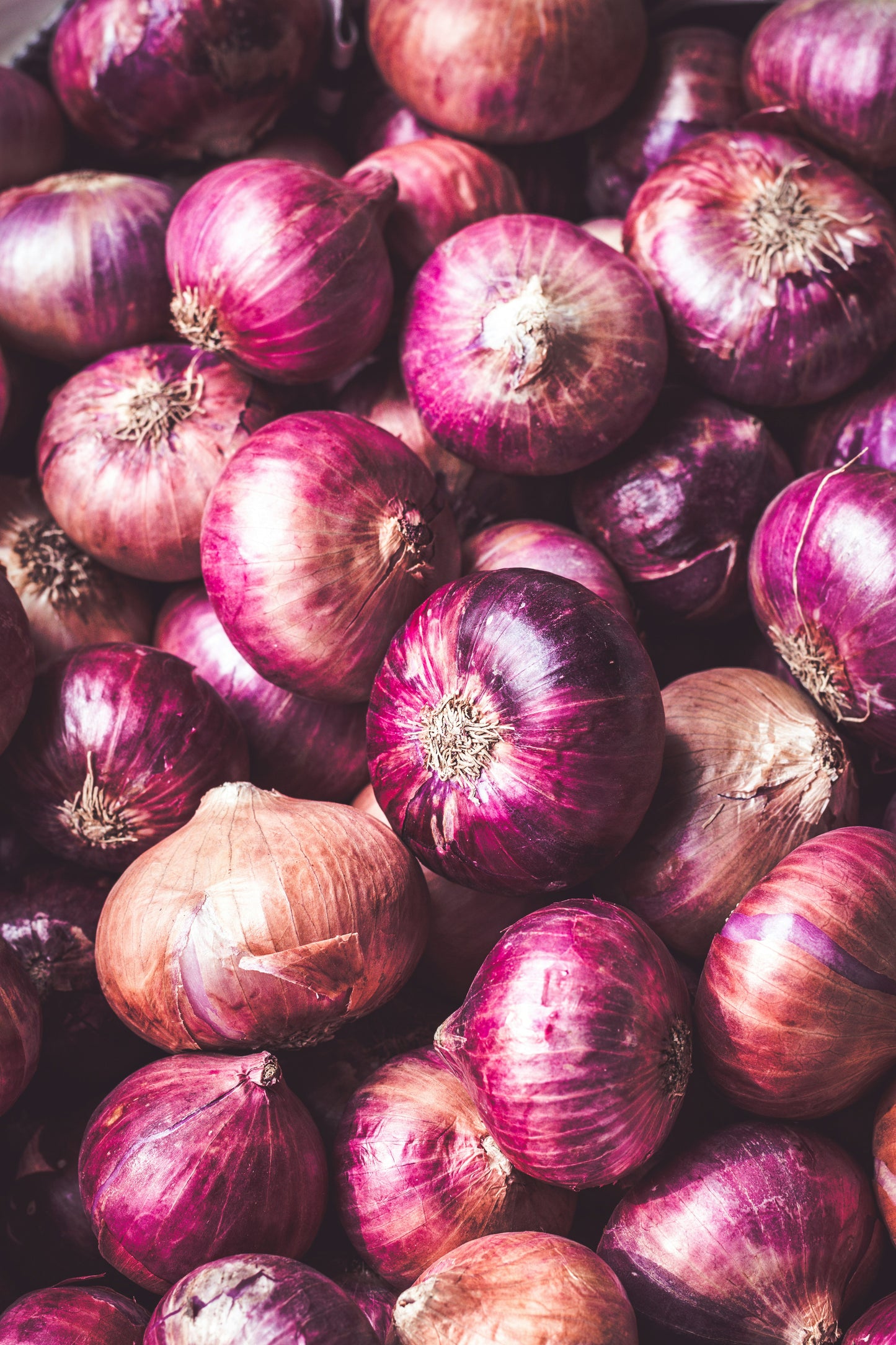 Red Onion (per kg)