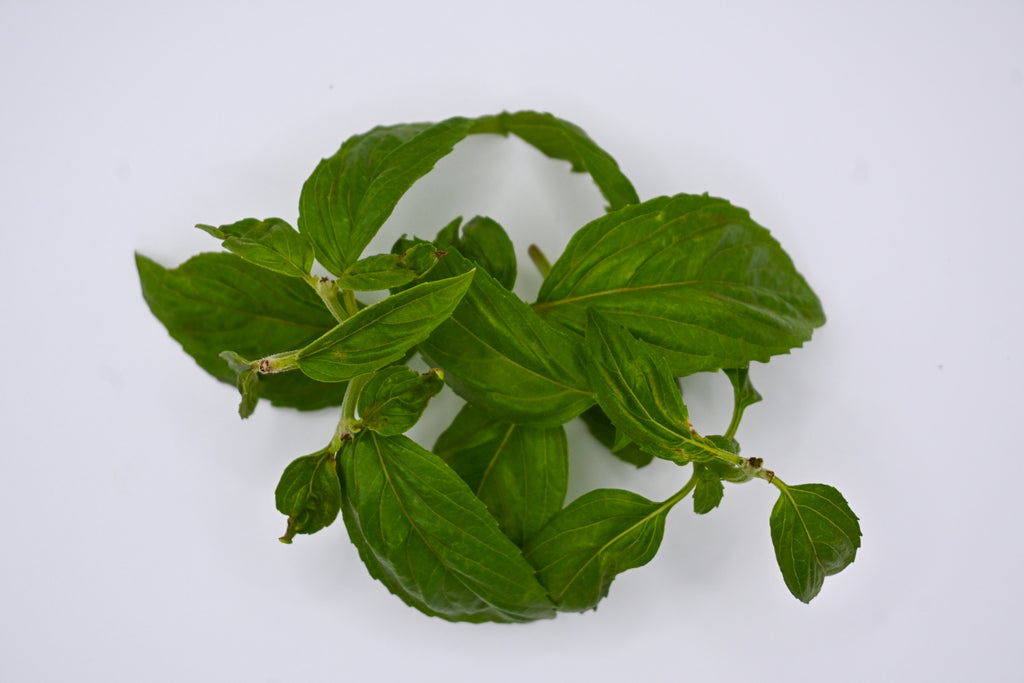 Basil (50 g)