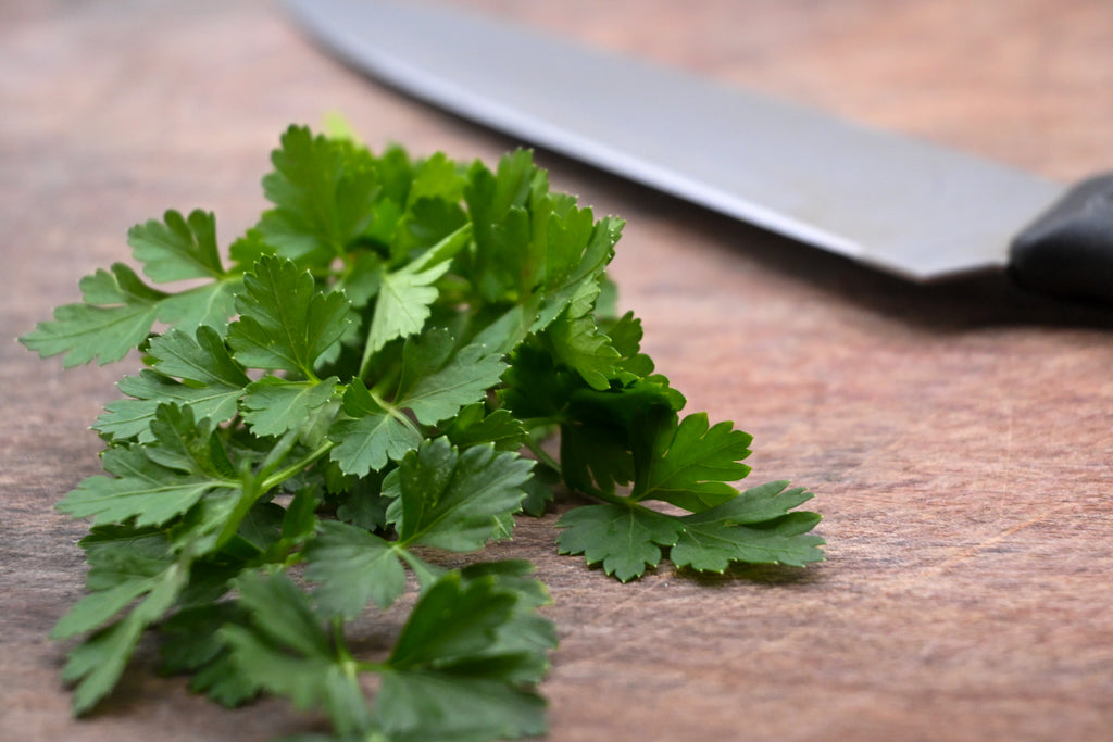 Flat Leaf Parsley (50 g)