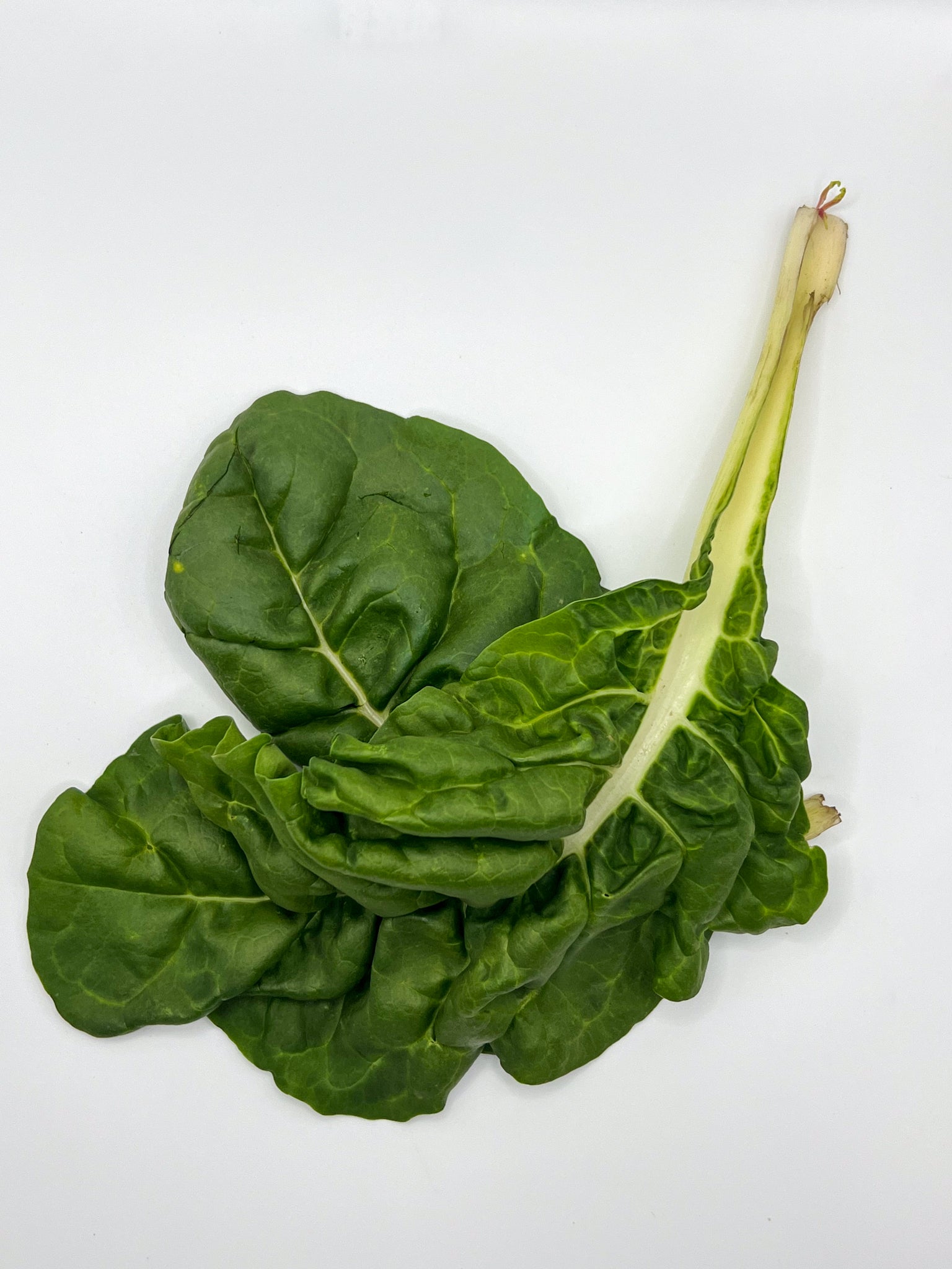Spinach (bunch)